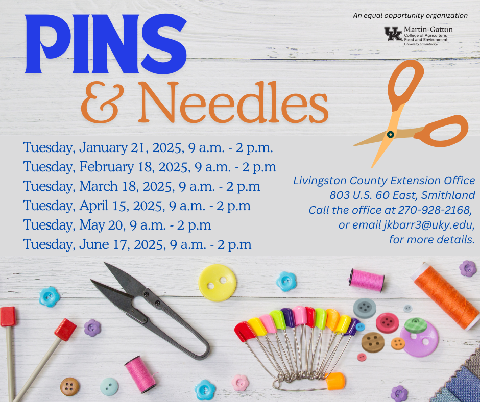 Pins and Needles flyer